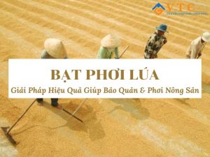 Bạt Phơi Lúa - Giải Pháp Hiệu Quả Giúp Bảo Quản & Phơi Nông Sản